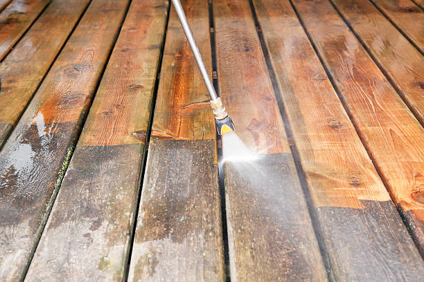 Best Fence Cleaning  in Sergeant Bluff, IA